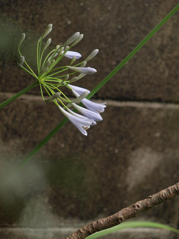 P6287825