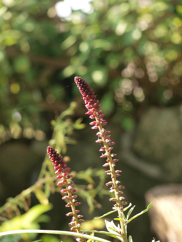 P6297867