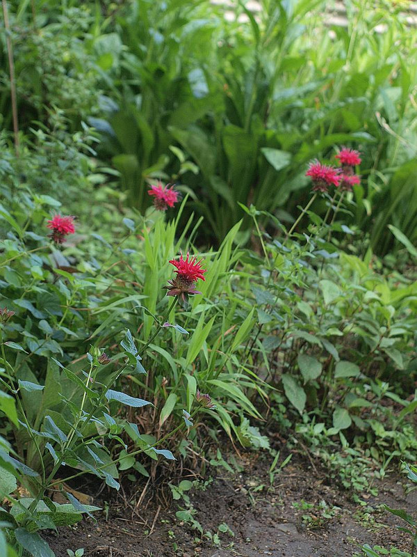 P7018270