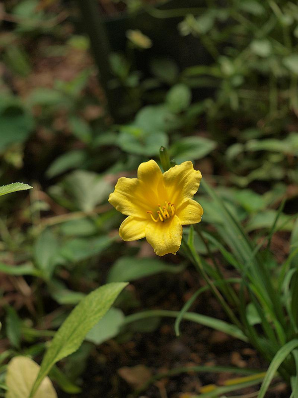 P7028292