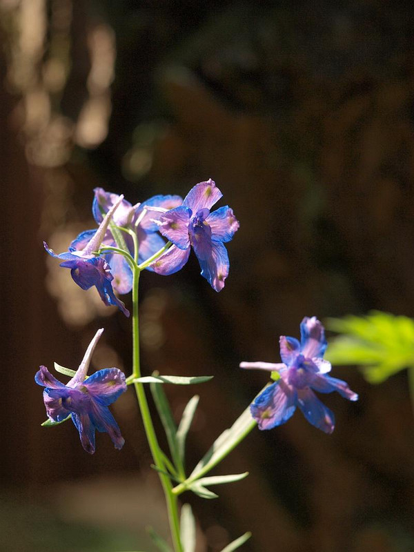 P7028302