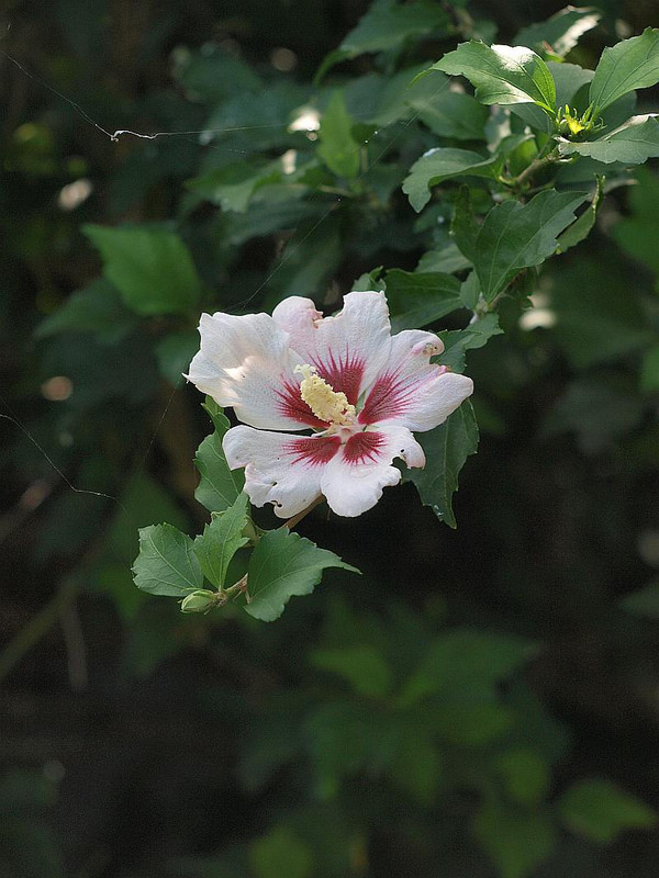 P7028310