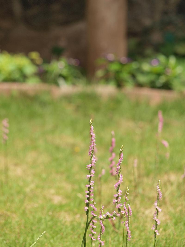 P7028324
