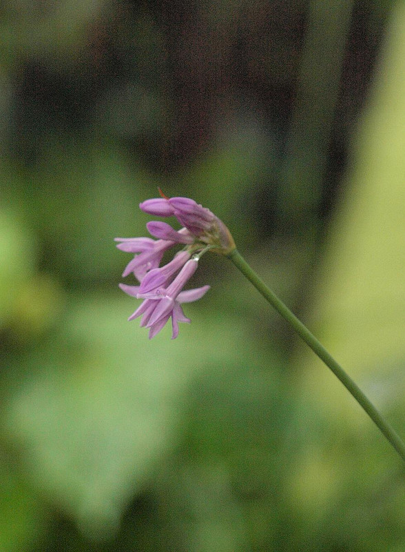 P7048410