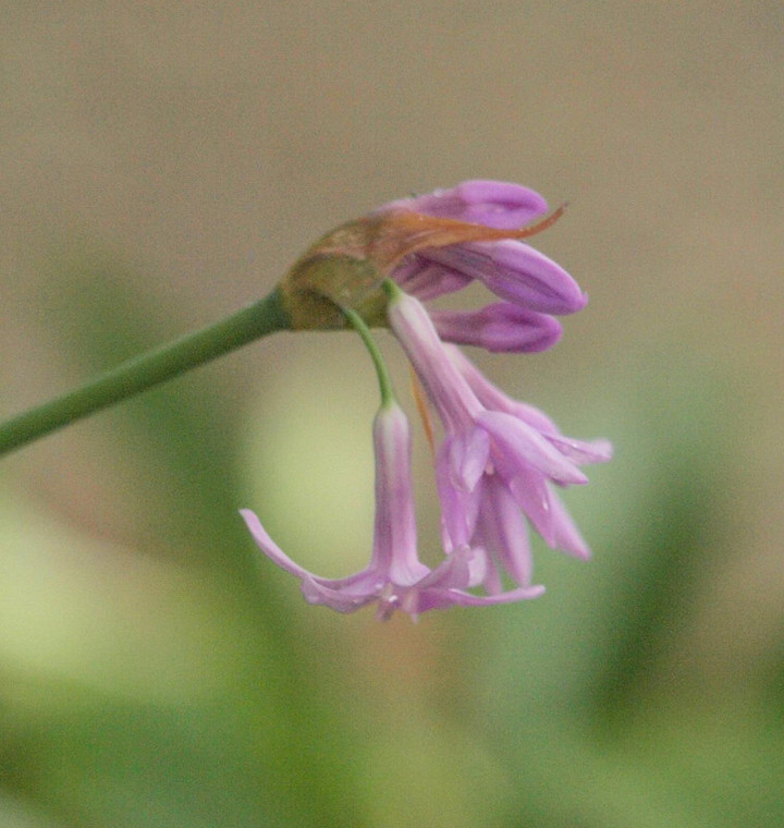P7048412