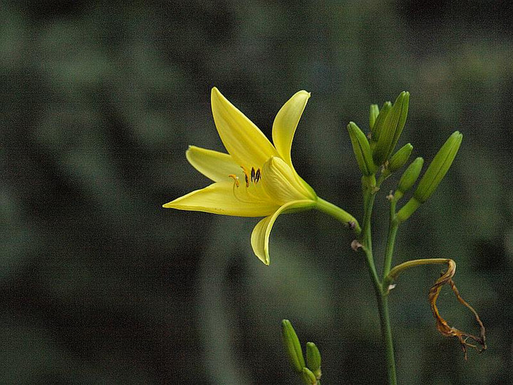 P7058439