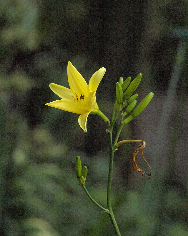 P7058442