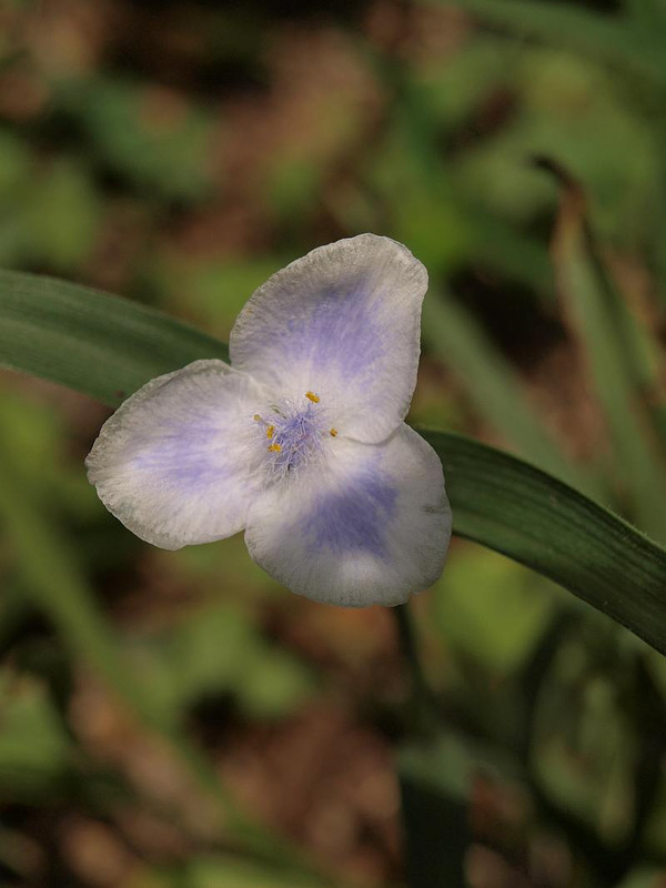 P7078535