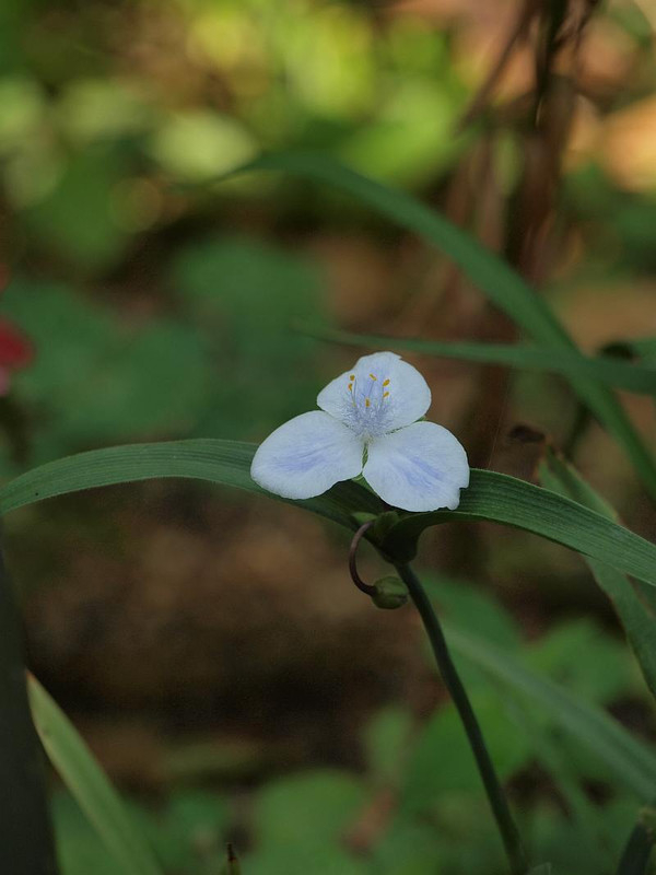 P7088563