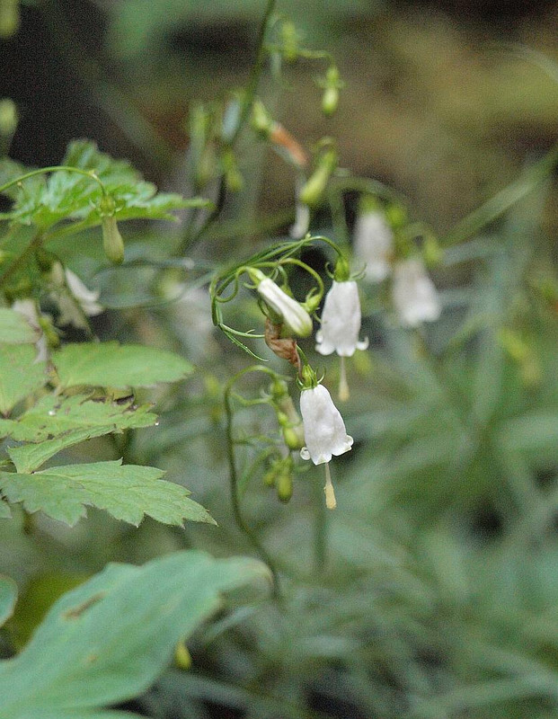 P7088572