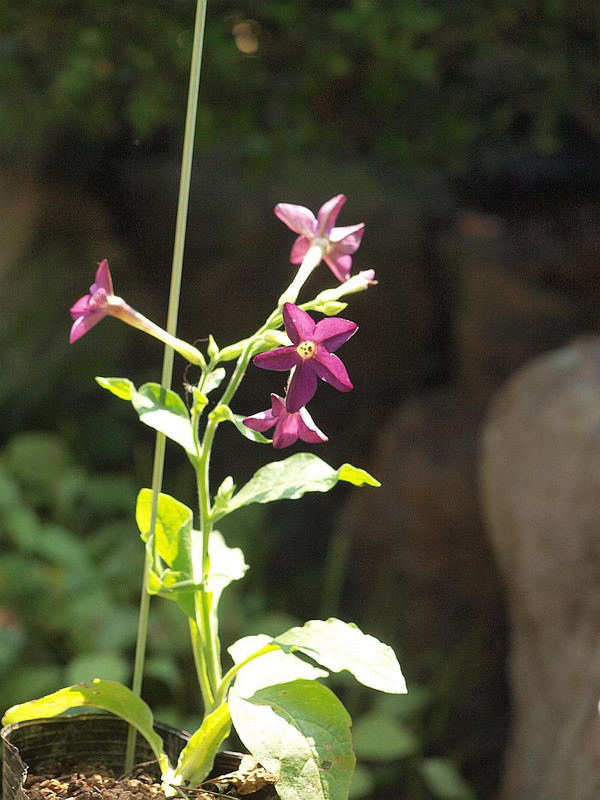 P7098613