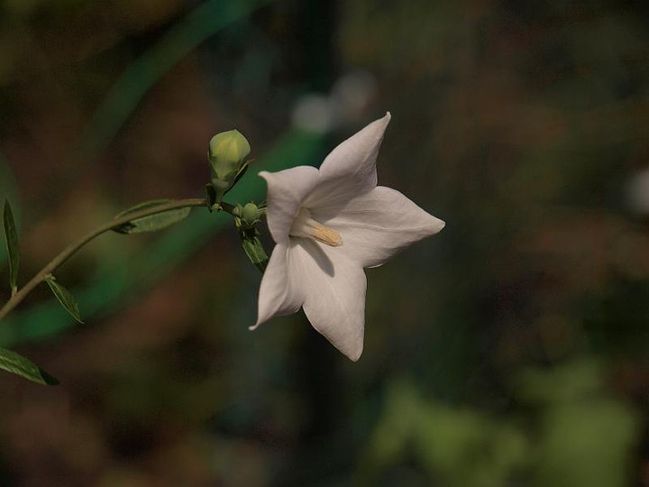 P7138818