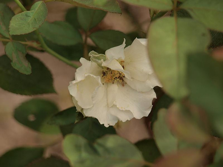 P7148827