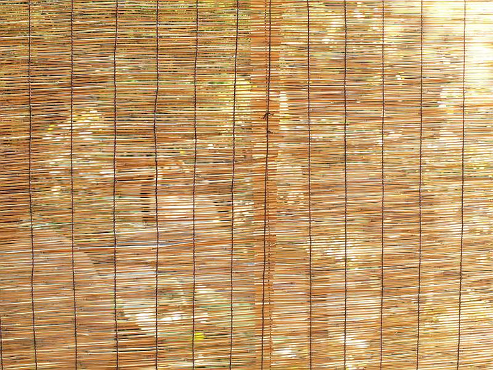 P7250380