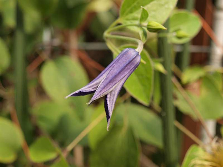 P7260388