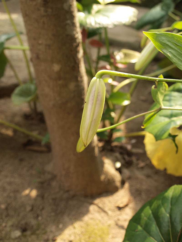 P7260402