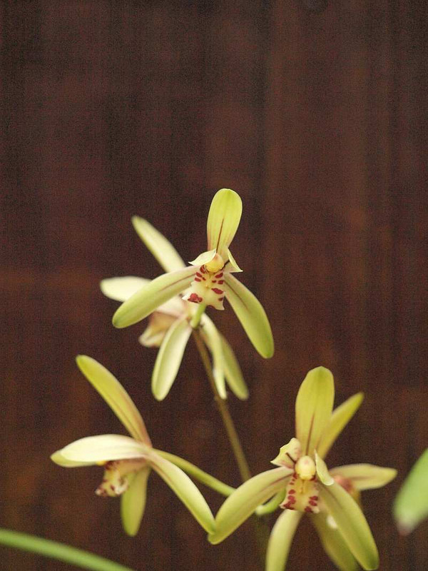 P7280416