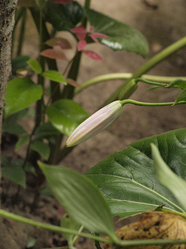 P7280422