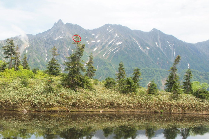 P7195277_kyonennno_yari