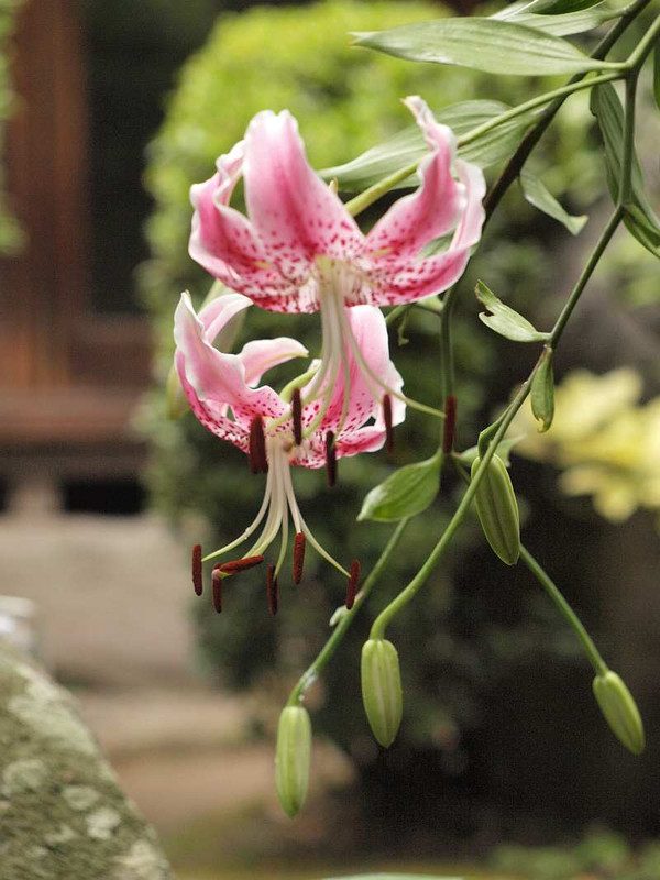 P7300471