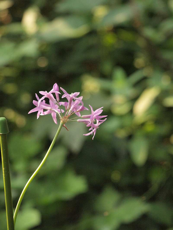P7310491