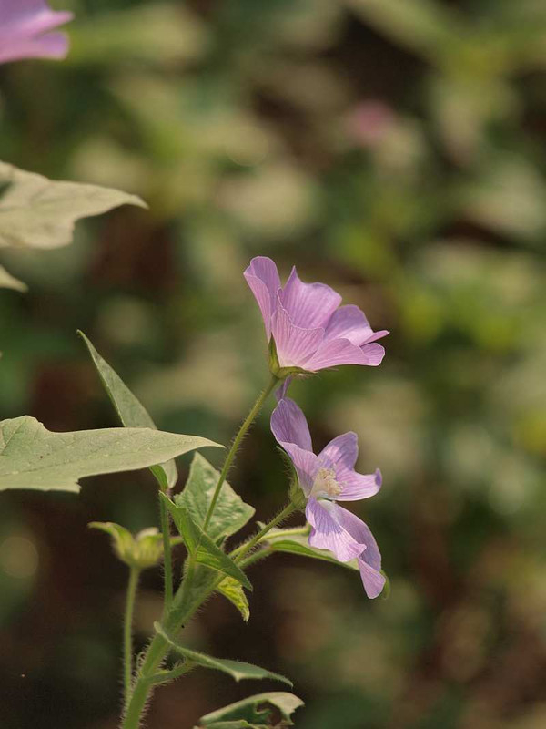 P7310502