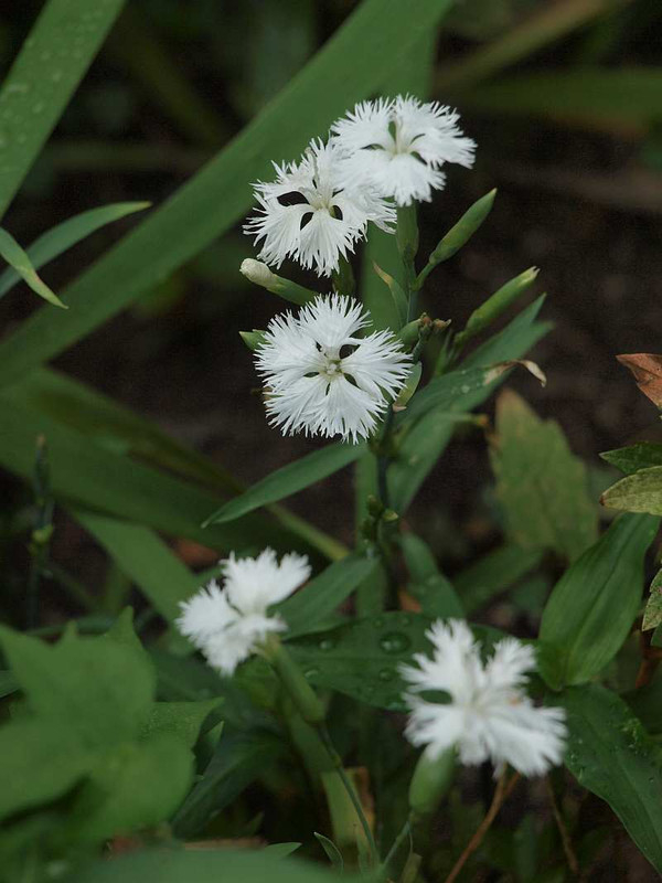 P7310508