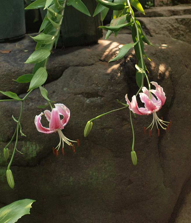 P7310510