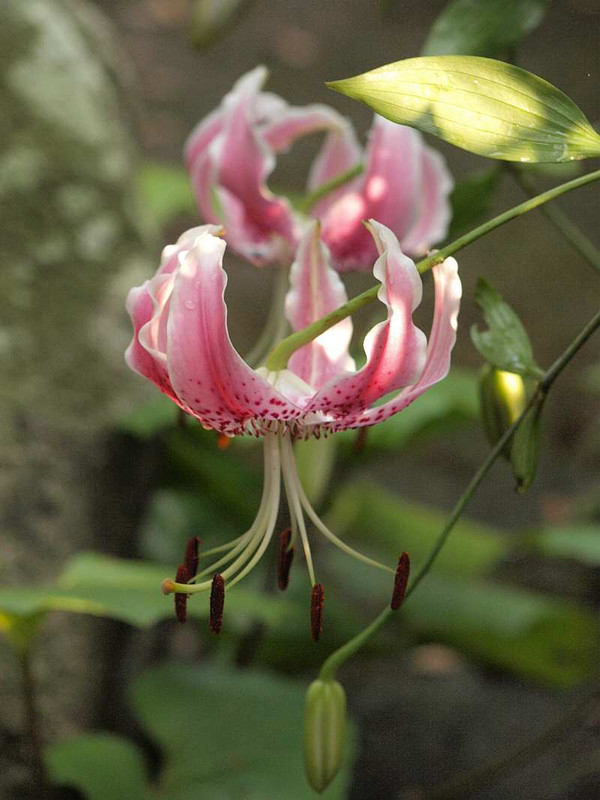 P7310514