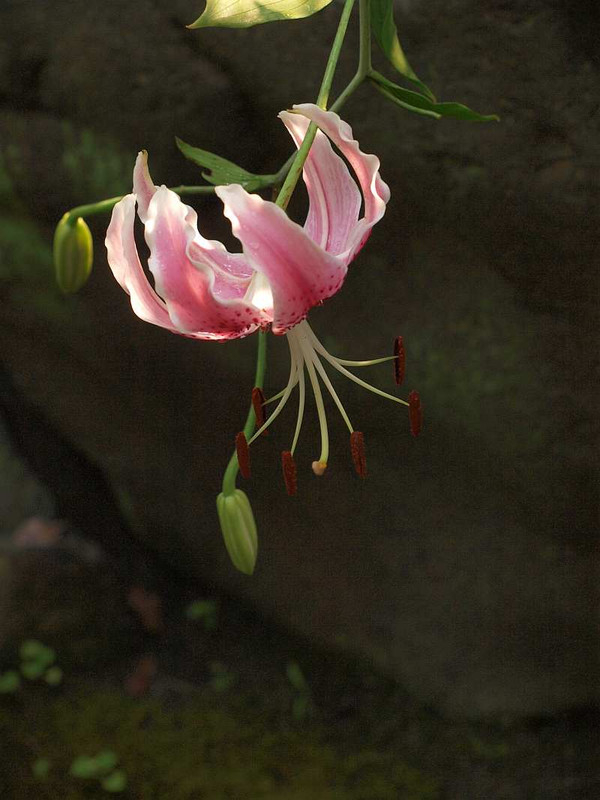 P7310518