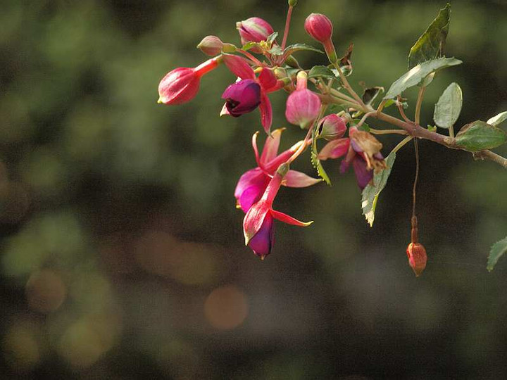 P7310519