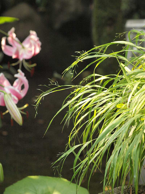 P7310520