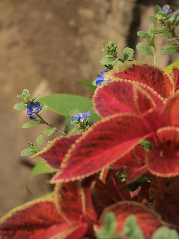P8010536
