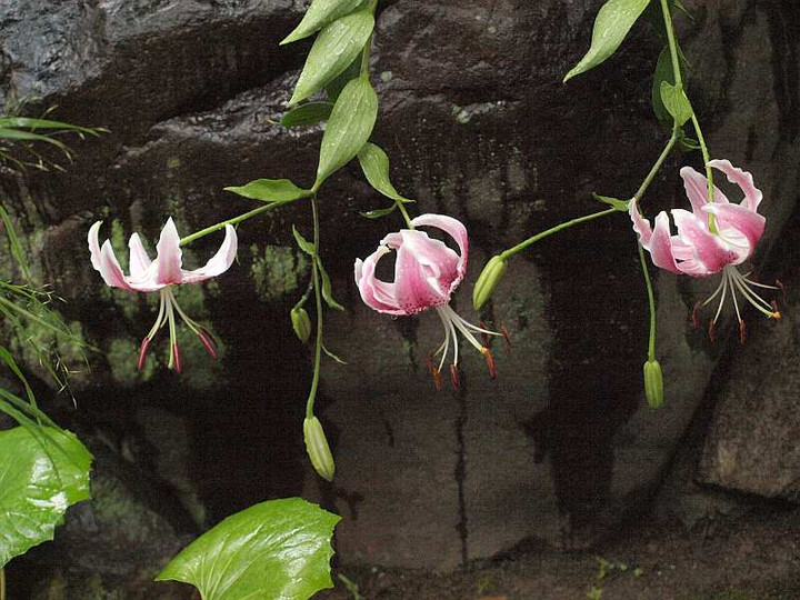 P8020546