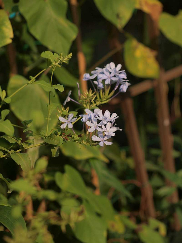 P8070804