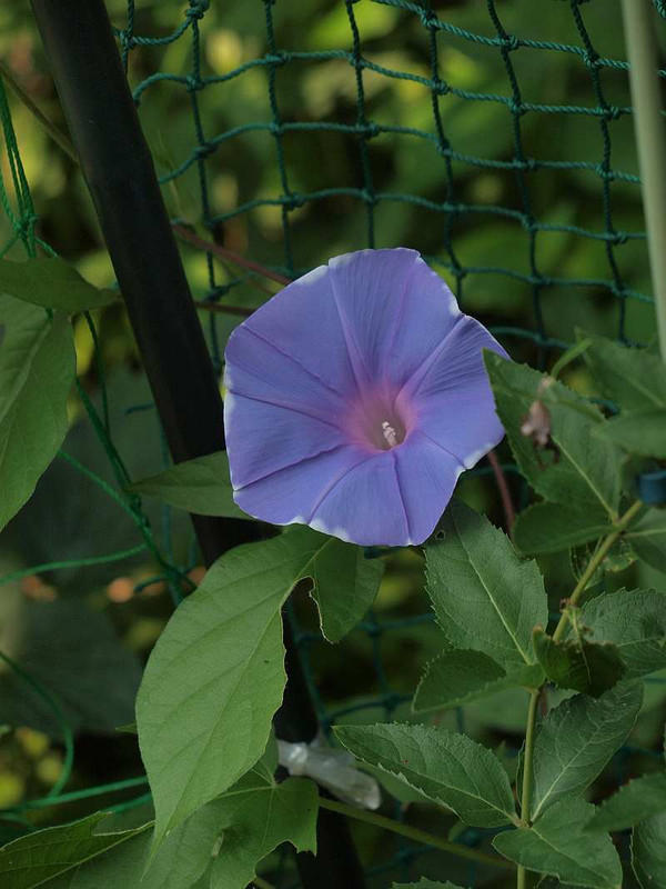 P8070806