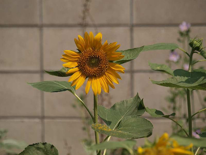 P8090817