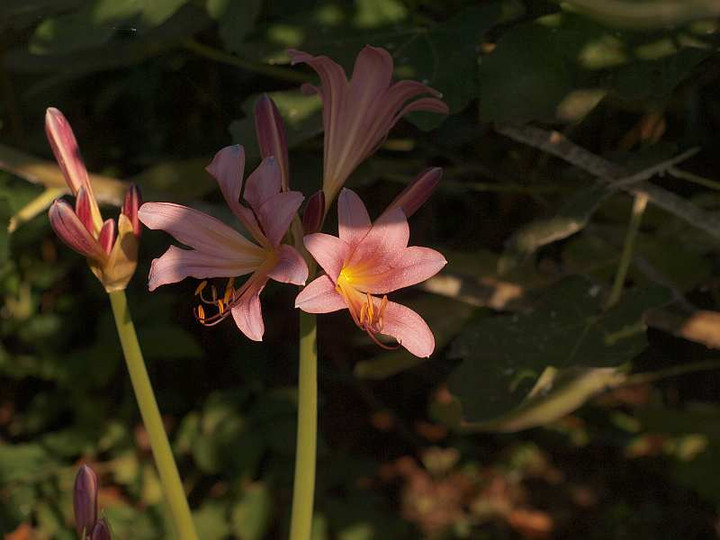 P8100846
