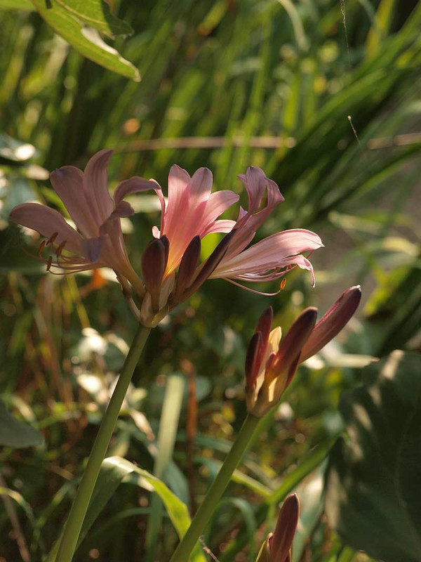 P8100850