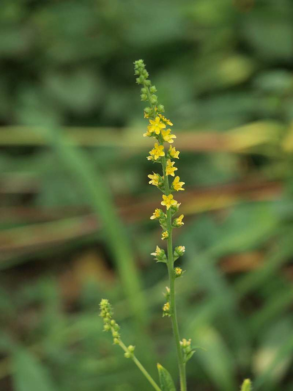 P8141219
