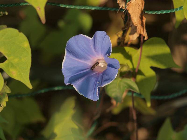 P8171283