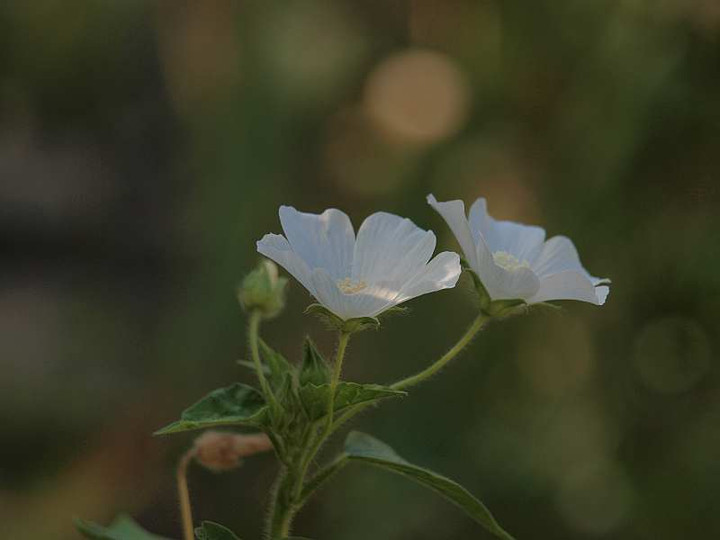 P8181304