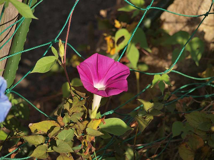 P8211376