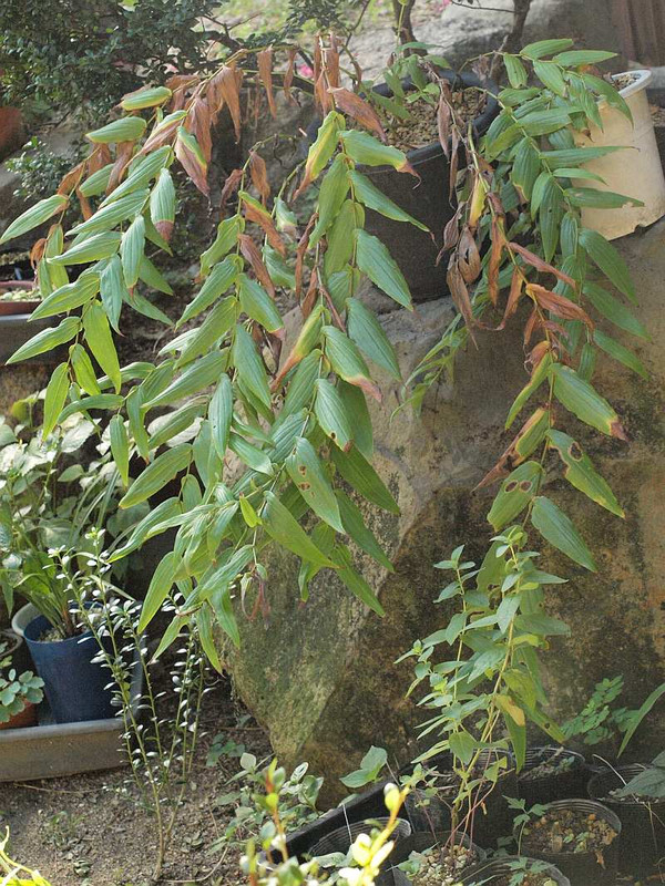 P8221393