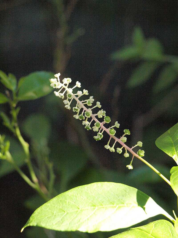 P8221399