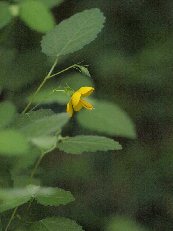 P8241420