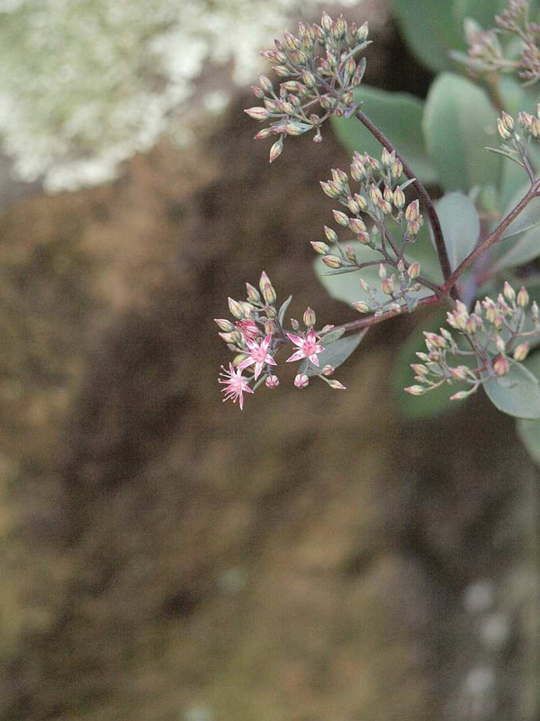 P8281639
