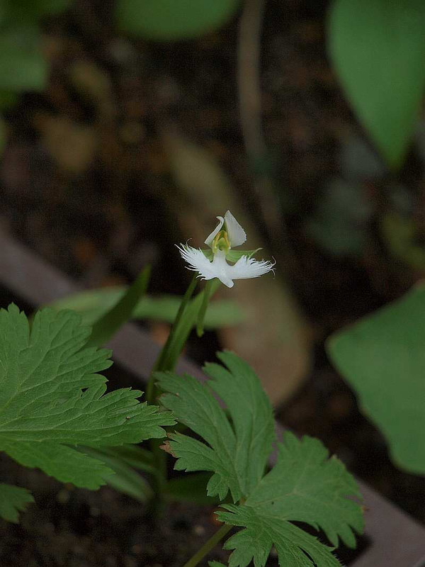 P8302067