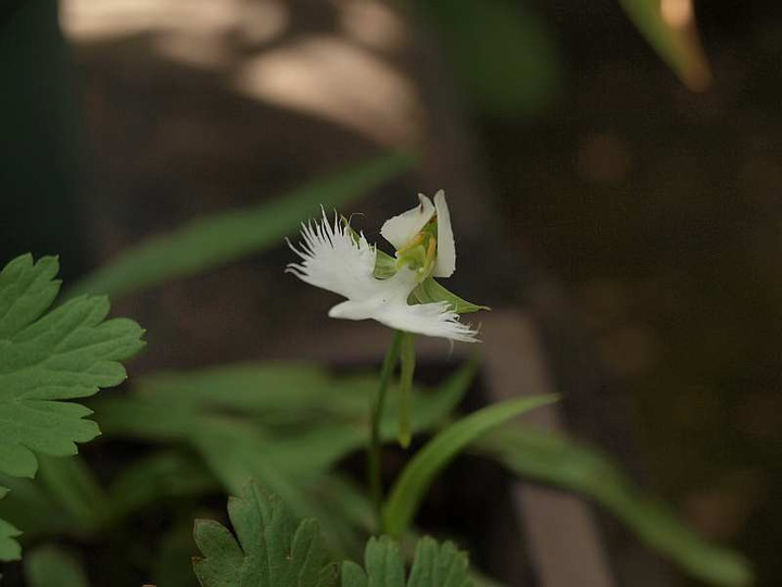 P8302079