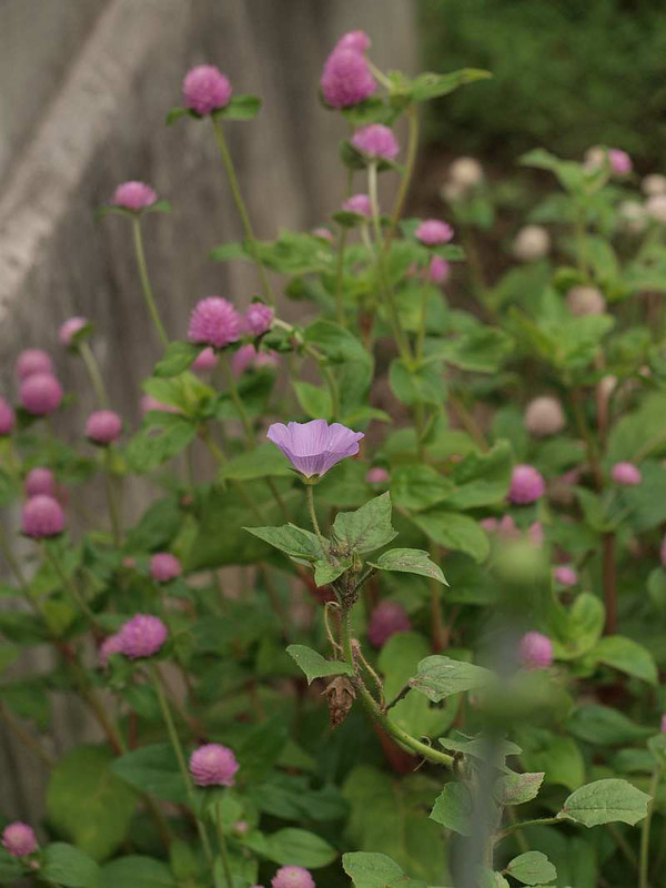P8302089